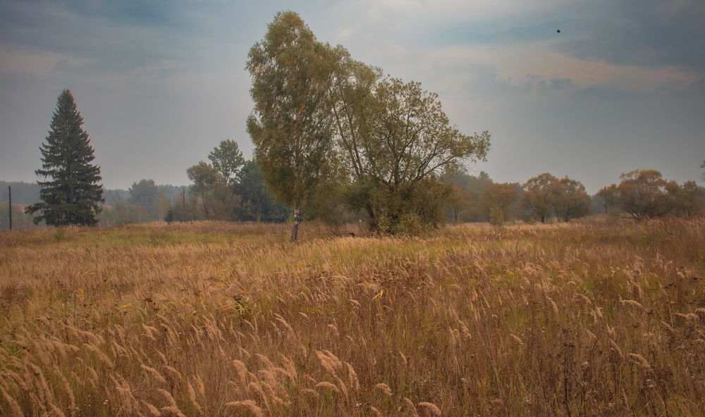 Photograph by Викулов Сергей