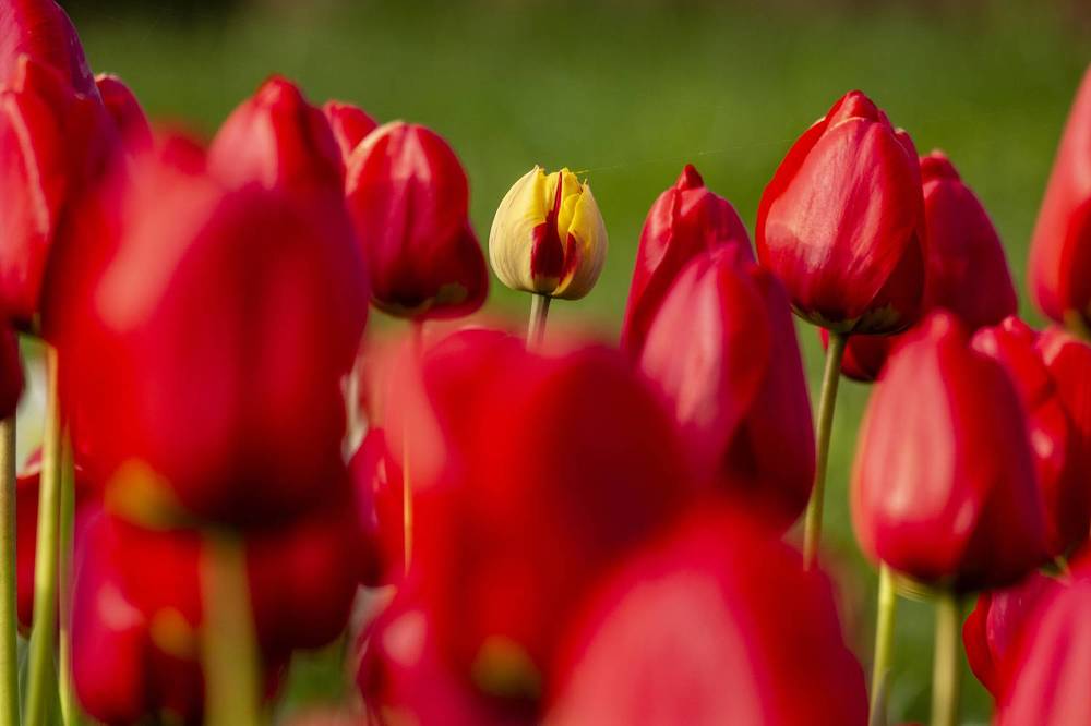 Photograph by Артур Павловский