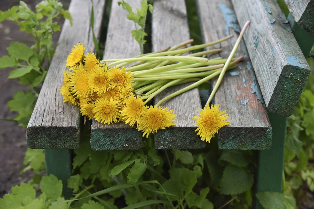 Забытый букет