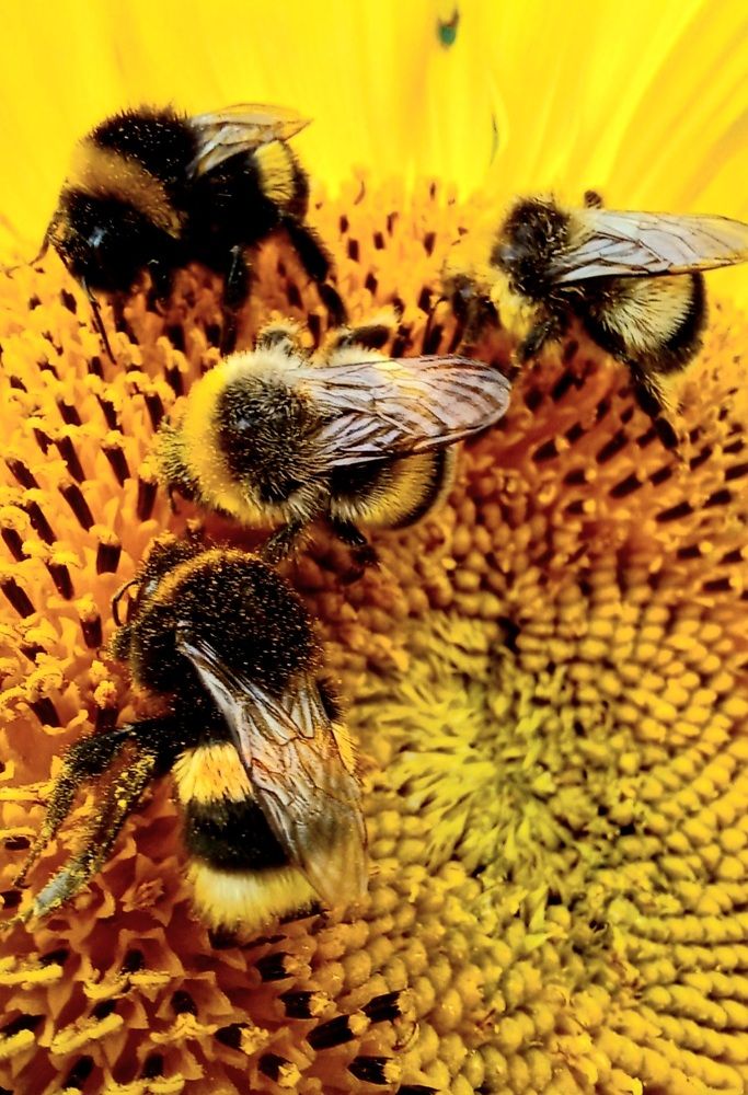 Photograph by Евгений Савулькин