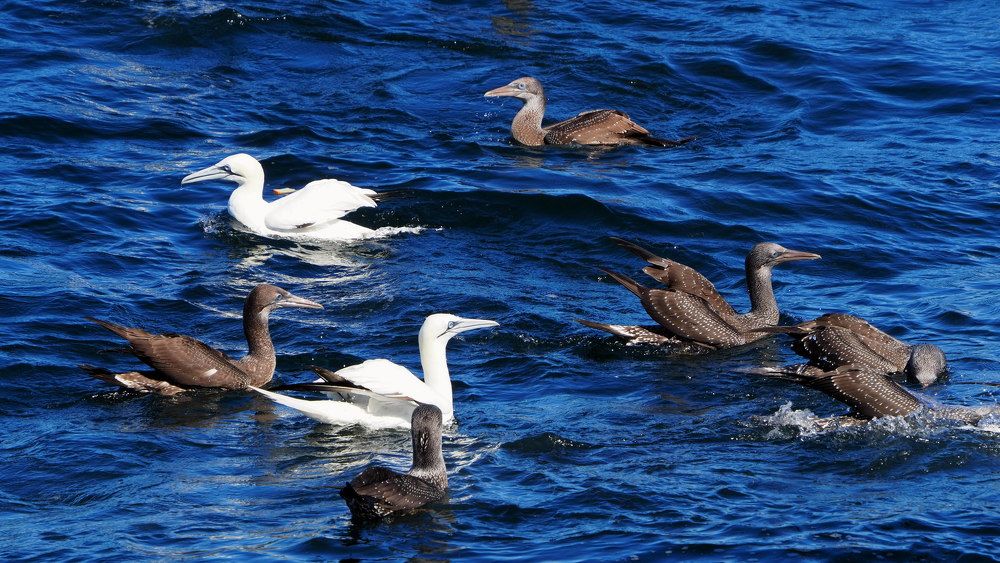 Photograph by Эльмира Халматова