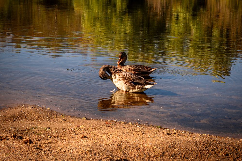 Photograph by Александра Лаврентьева