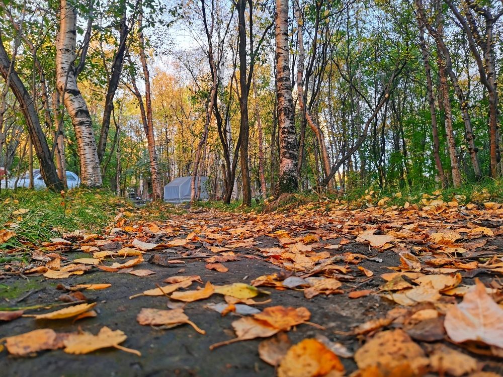 Photograph by Елена