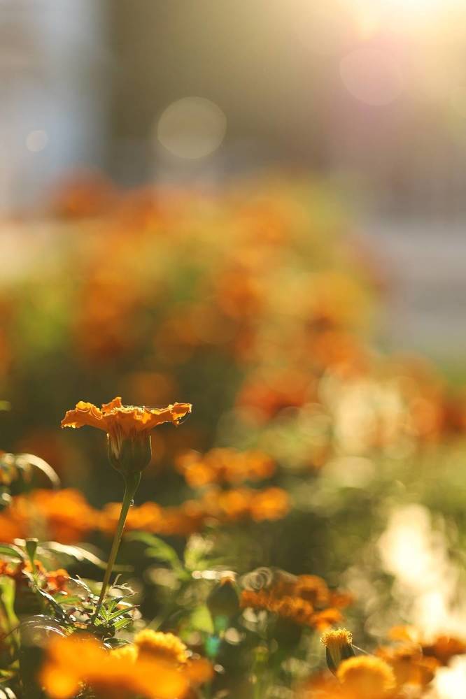 Photograph by Бальзирова Наталья