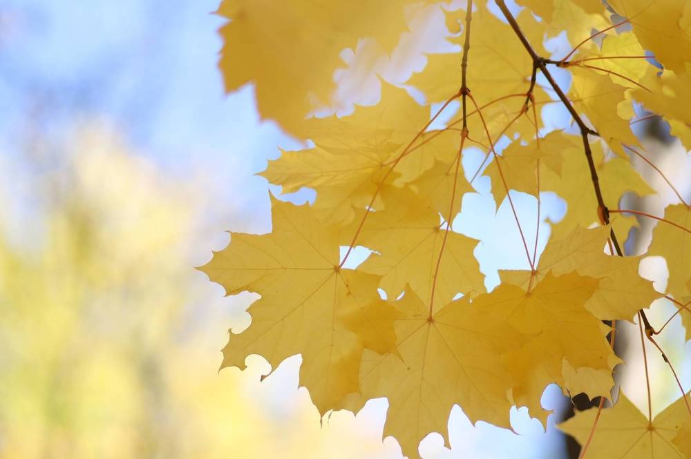 Photograph by Бальзирова Наталья