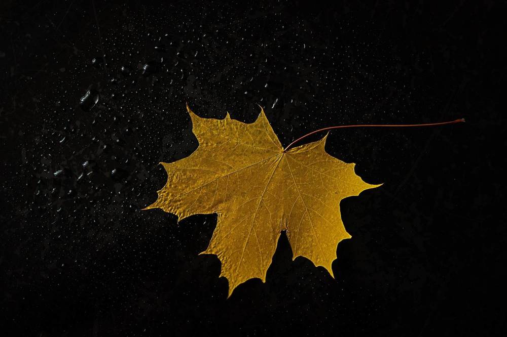 Photograph by Бальзирова Наталья