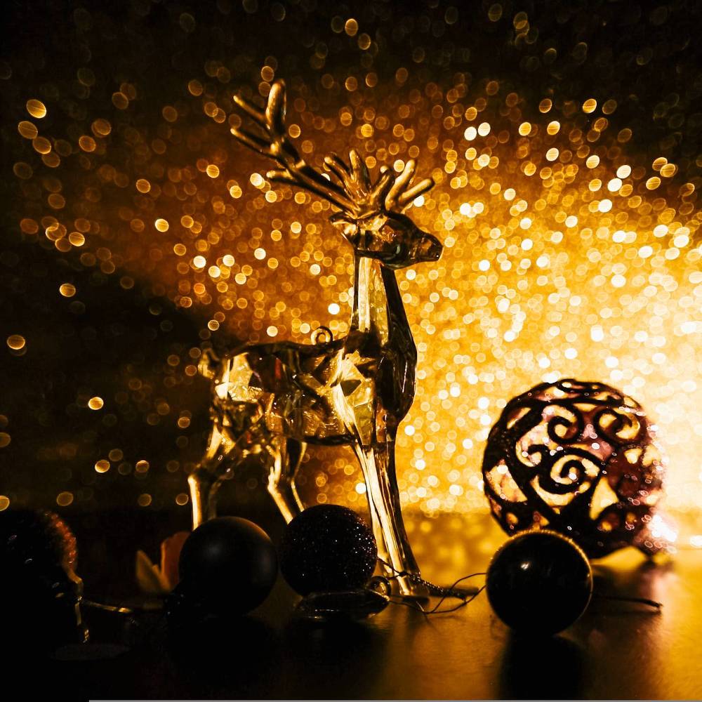 Photograph by Александра Пургаева