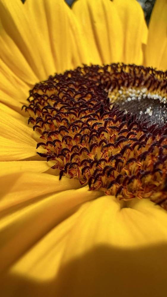 Photograph by Екатерина Балакина