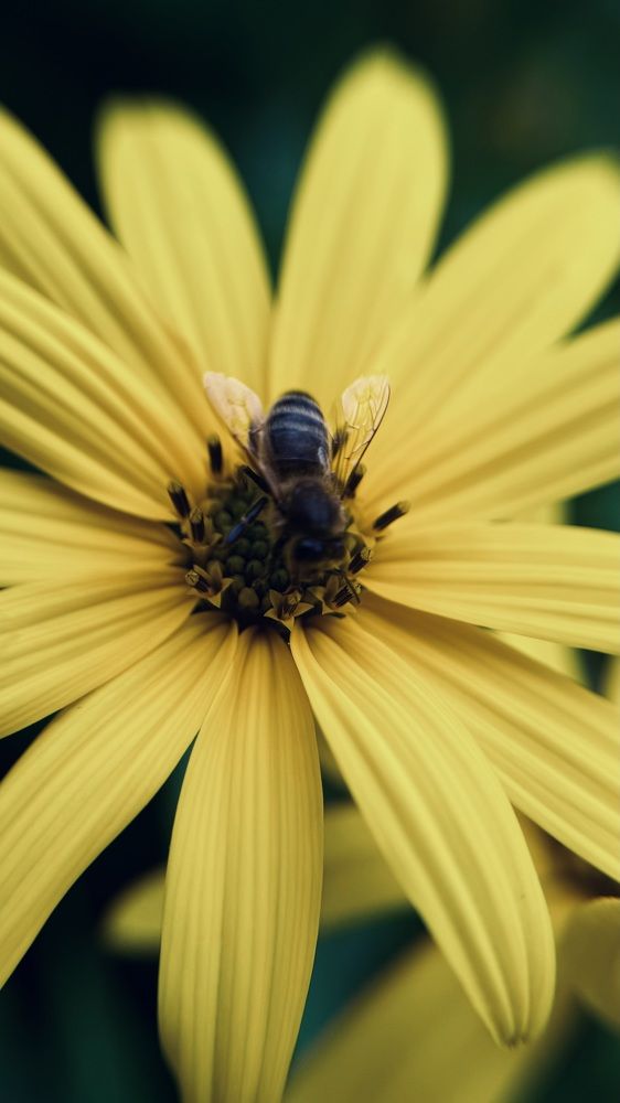 Photograph by Светлана Родионова