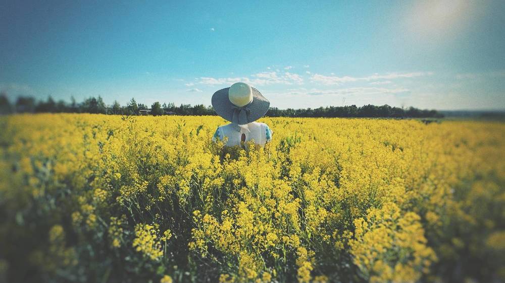 Photograph by Светлана Родионова