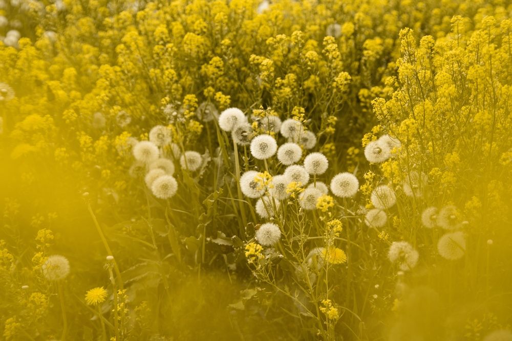 Photograph by Екатерина Леонова