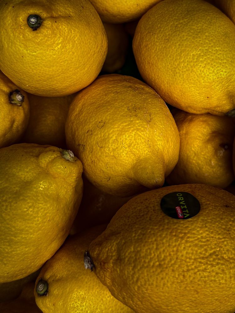 Photograph by Екатерина Нальгиева