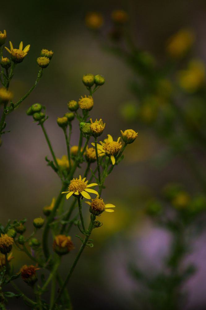 Photograph by Екатерина Нальгиева