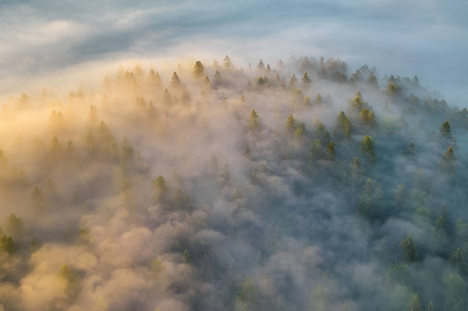 Фотография #11117979