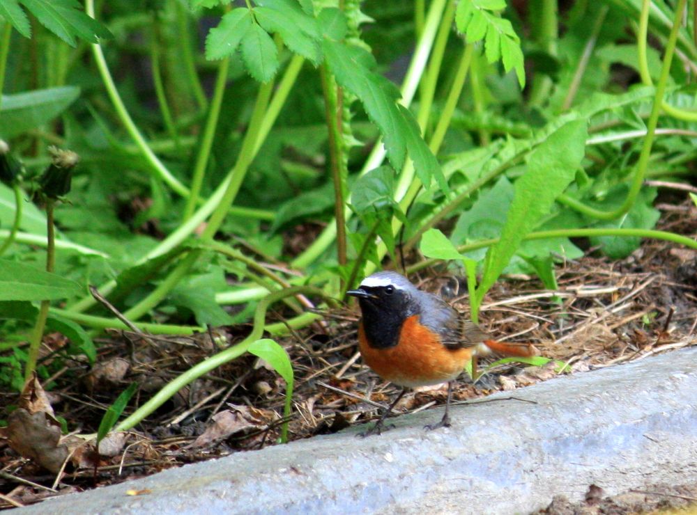 Photograph by Ольга Павлова