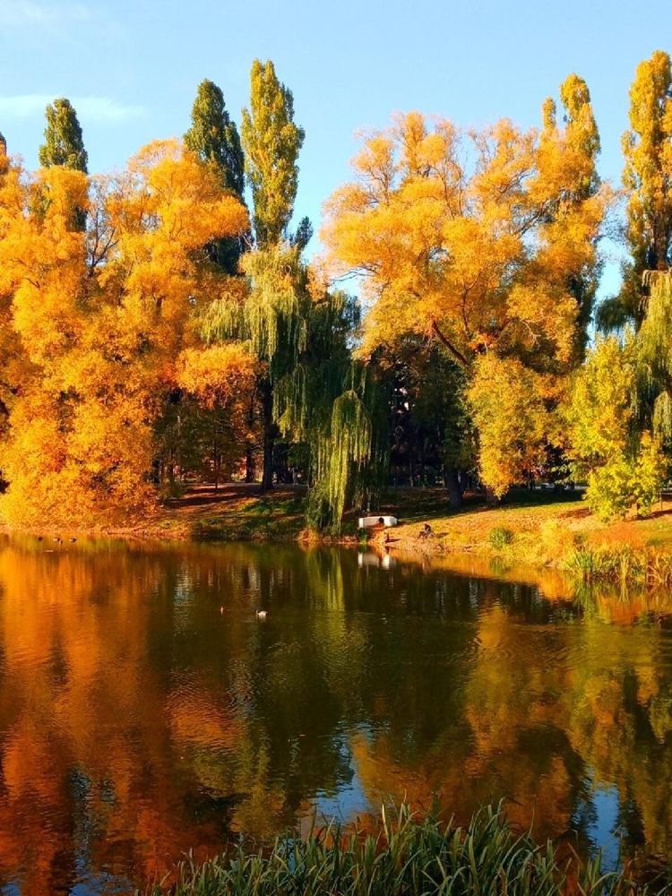 Photograph by Елена Никитина