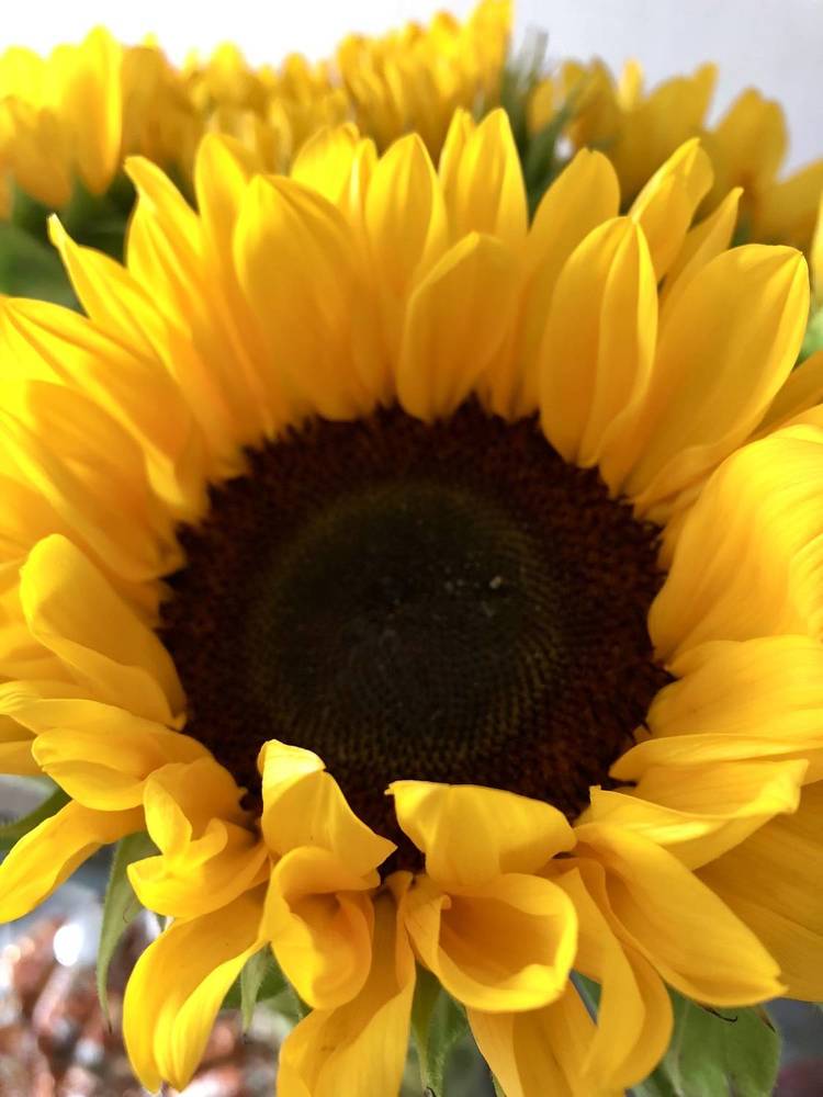 Photograph by Ирина Швейнова