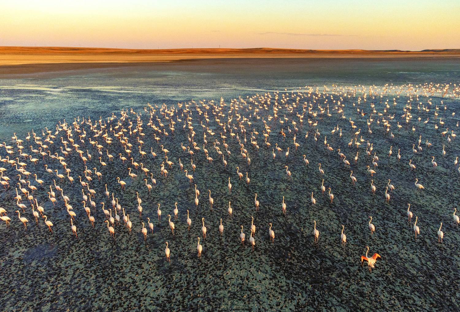 Фотография #11118060