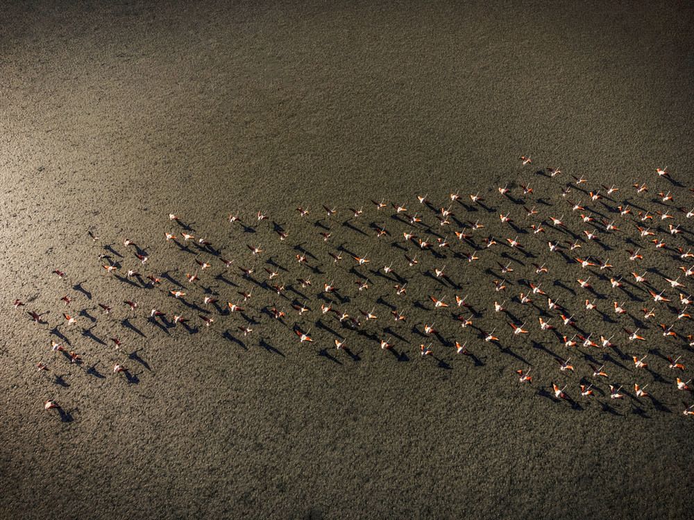 Фотография автора Esra Bürçün