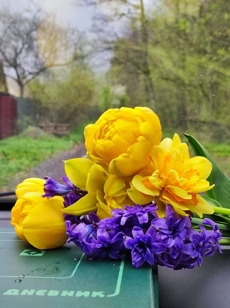 Фотография автора Елена Рузинова