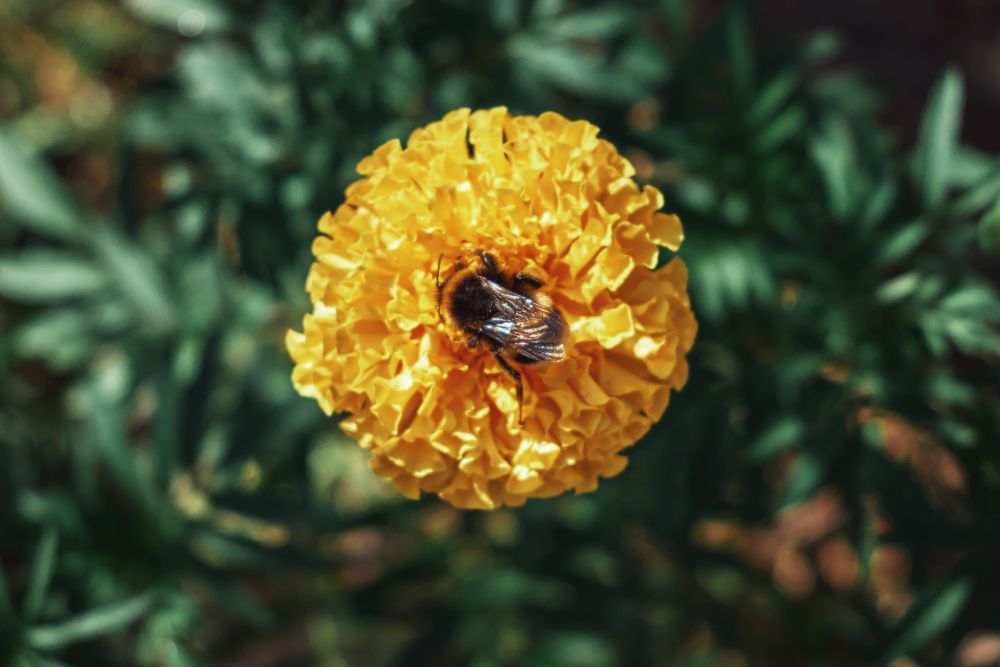 Photograph by Валерий Зенович