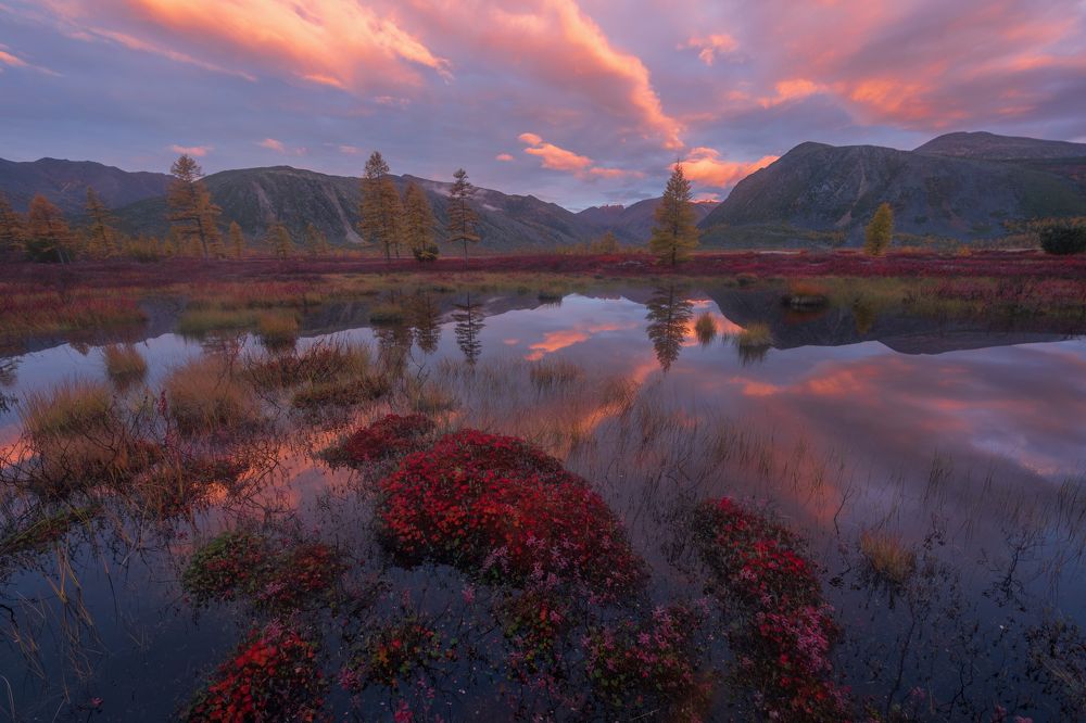 Photograph by Широбоков Михаил