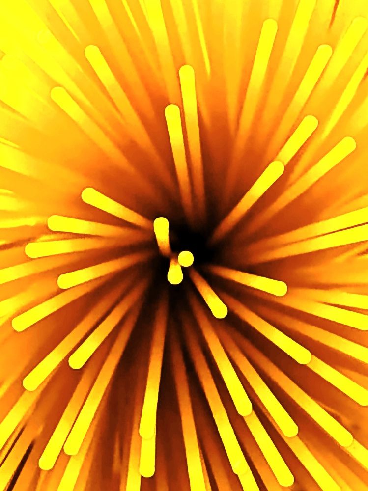 Photograph by Natalya Moskvina