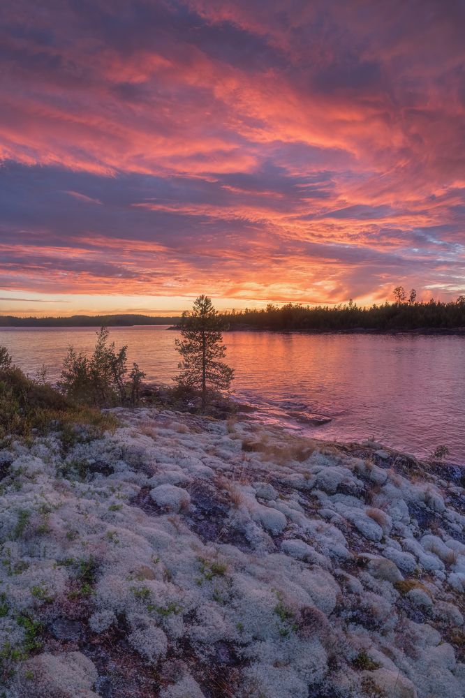 Photograph by Широбоков Михаил