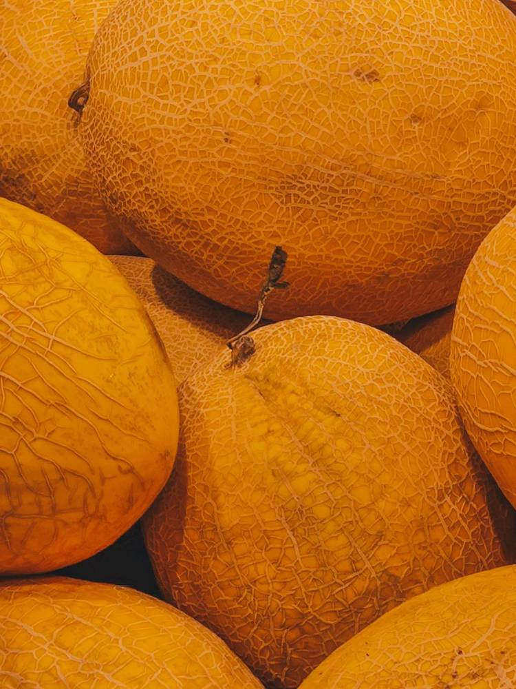 Фотография автора Ольга