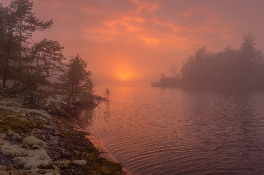 Photograph by Широбоков Михаил