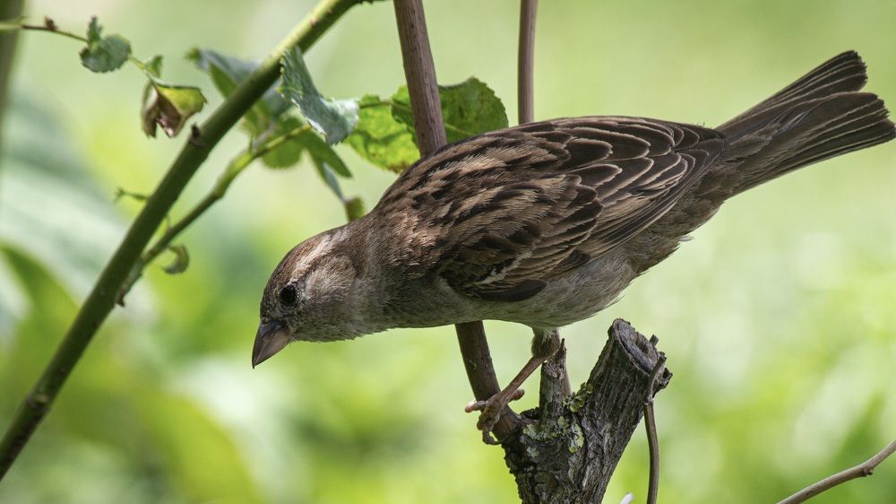 Photograph by Anatol Gloukhov