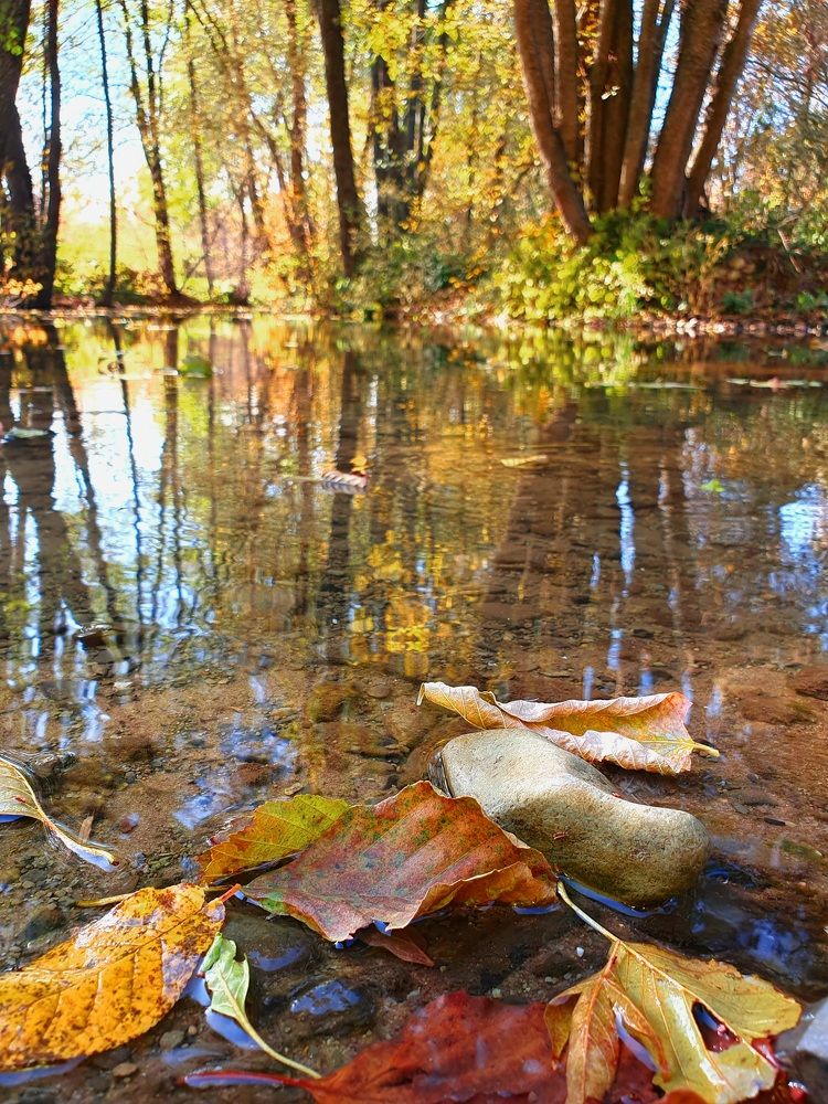 Photograph by Олег Титкин