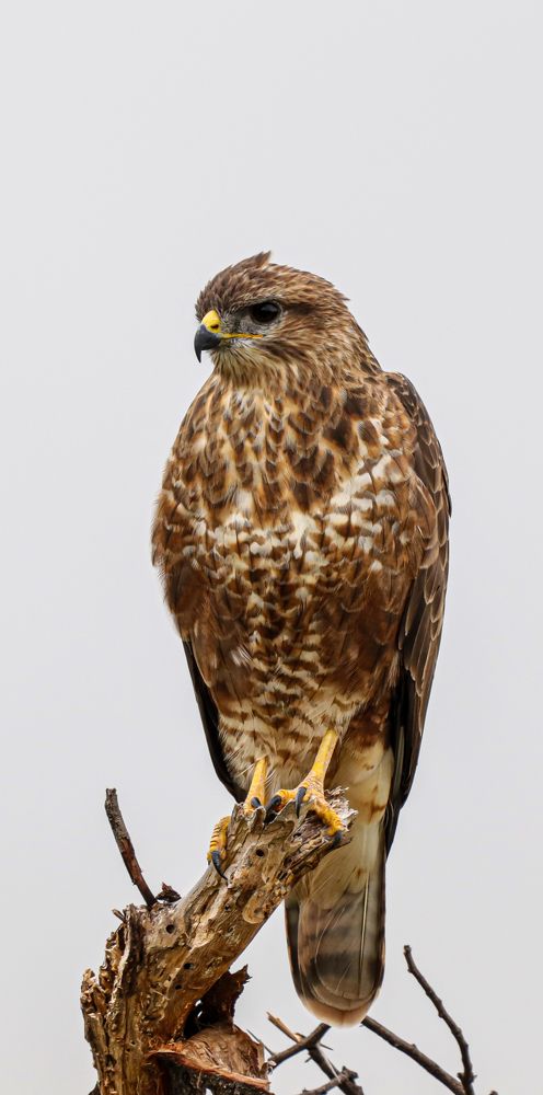 Photograph by Nadine Leonard