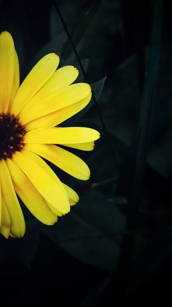 Photograph by Иван Егупов