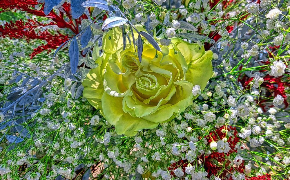 Vila-seca - centre de flors - Tarragonès