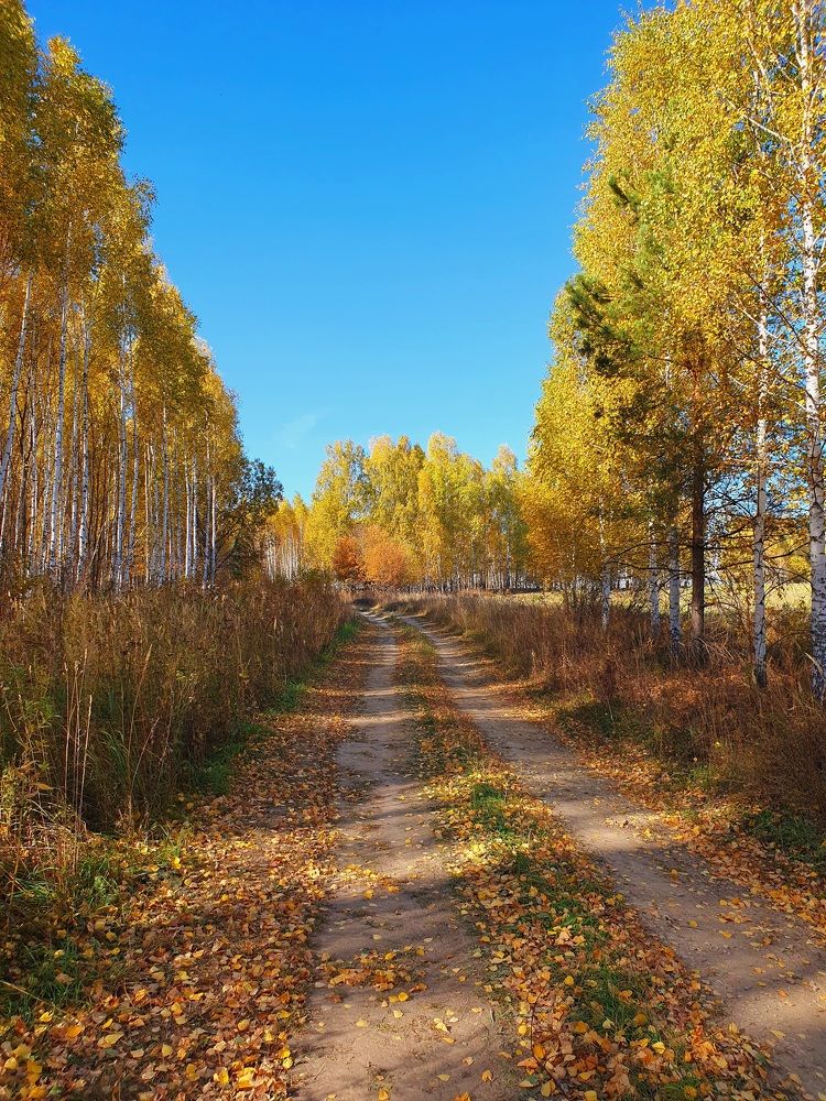 Photograph by Олег Титкин