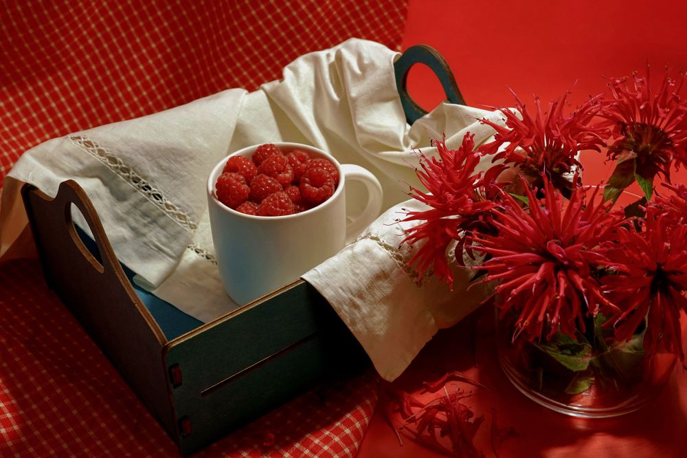 Photograph by Tatiana Glazkova