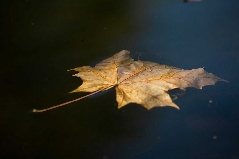 В невесомости.