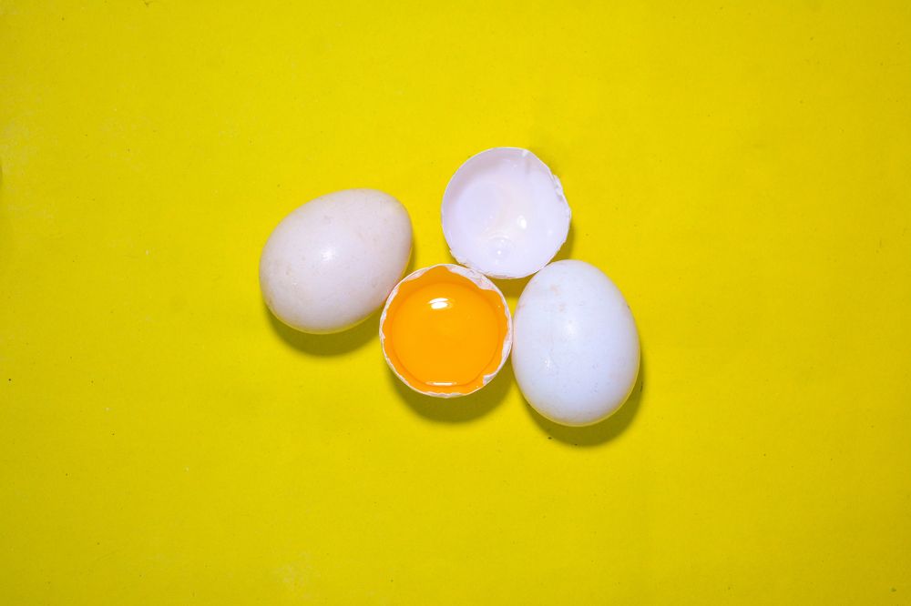 Photograph by MD. Imon Hossain