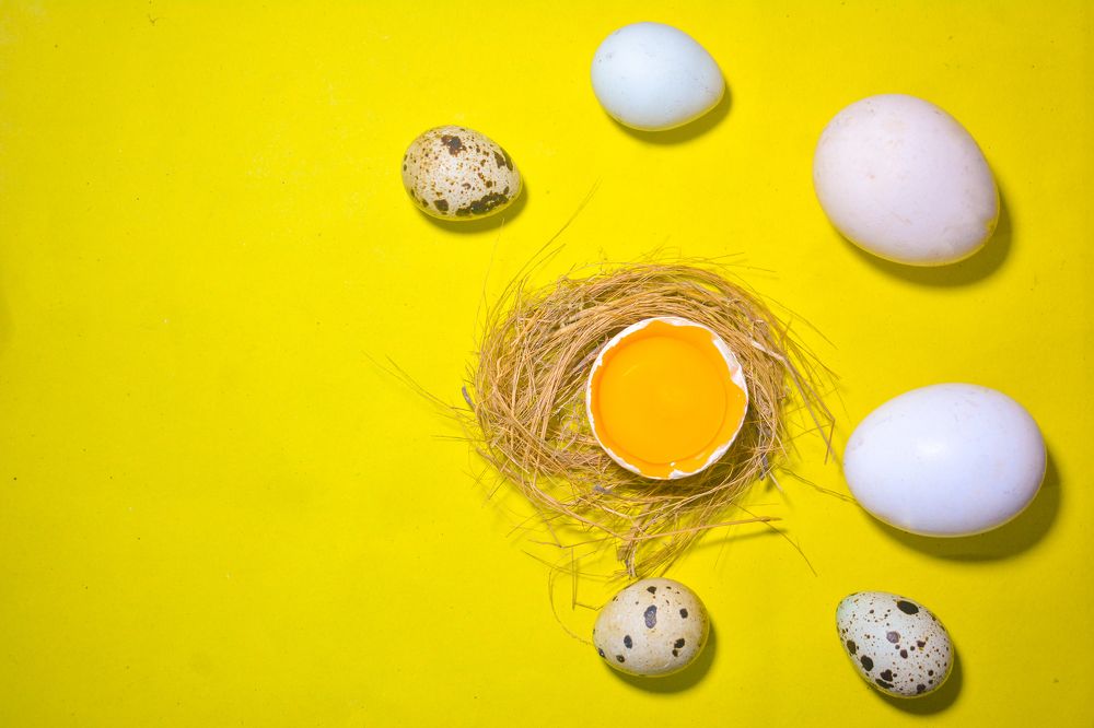 Photograph by MD. Imon Hossain