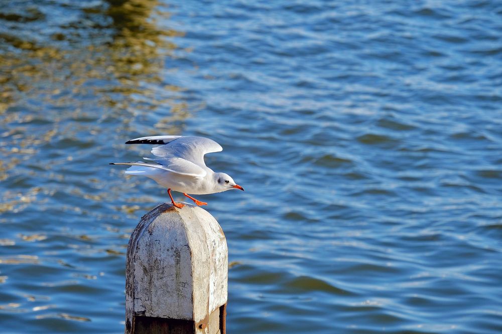 Photograph by Медведев Антон