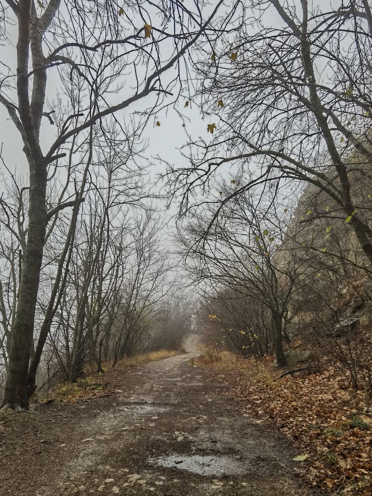 Photograph by Igor M.