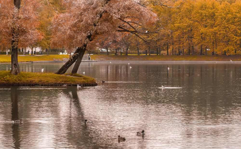 Photograph by Людмила Подольская