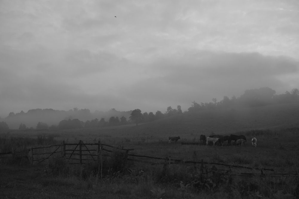 Фотография автора Медведев Сергей