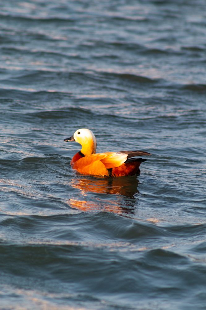 Photograph by Мария Громова