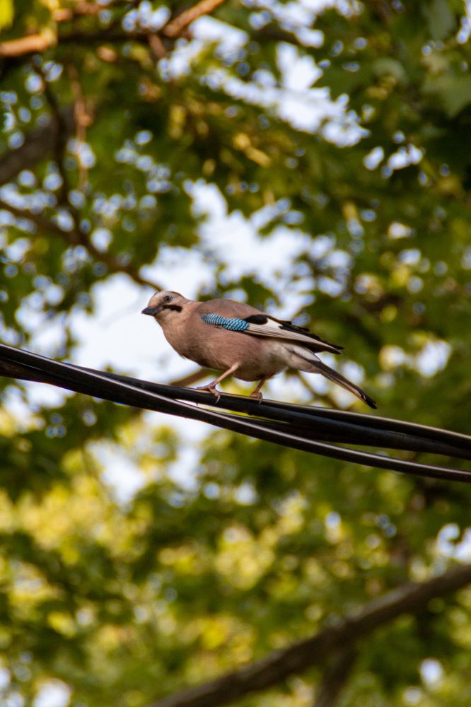 Photograph by Мария Громова