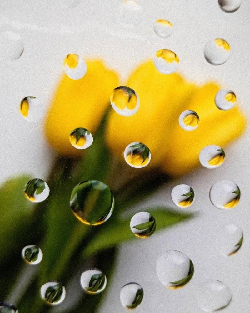 Photograph by Анастасия Дынина