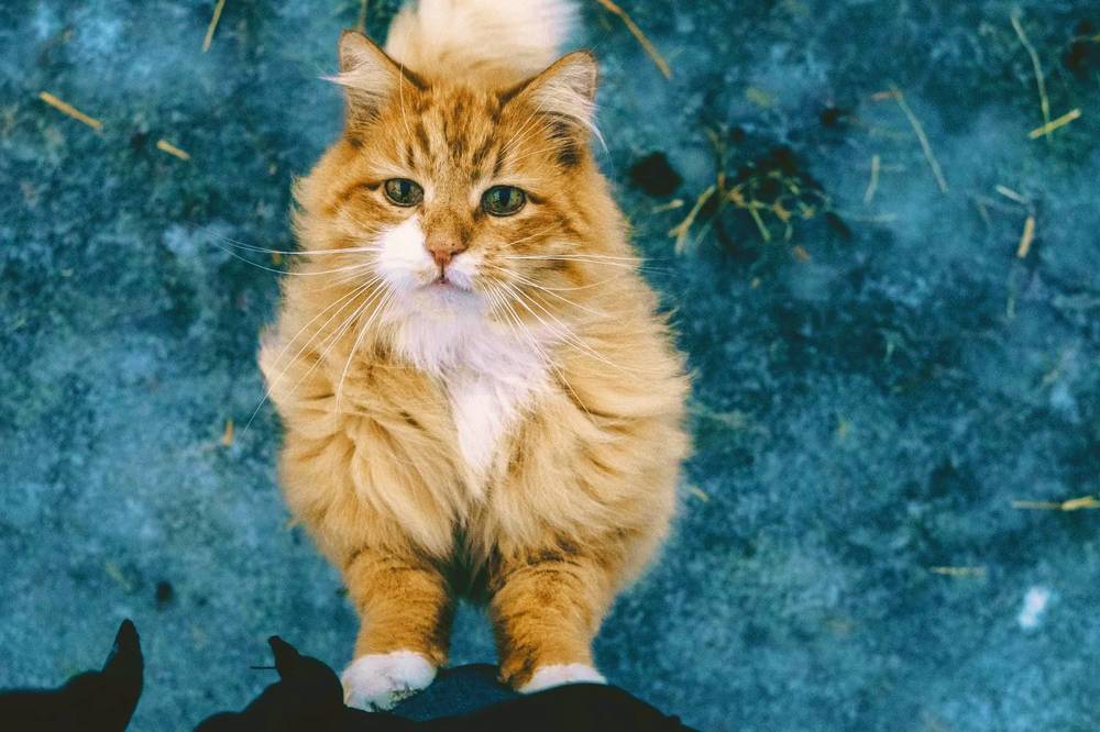 Photograph by Radio indie.