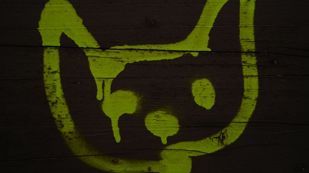 Photograph by Лиза Малыгина