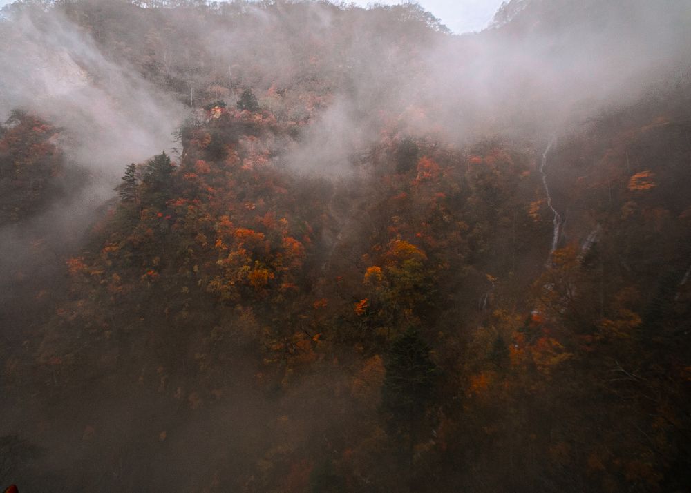 Photograph by Елена Захарова